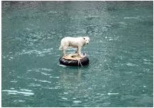 Stranded  - Left without the means to move from somewhere.