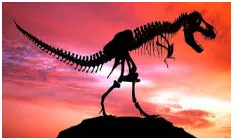 Extinction - The state or process of being or becoming extinct.