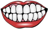 Meaning  tooth