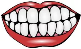 Meaning  tooth