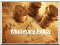 Holding the rate  on rbi’s monetary policy decision