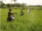 Informed policy to address farm distress