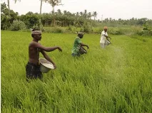 Informed policy to address farm distress