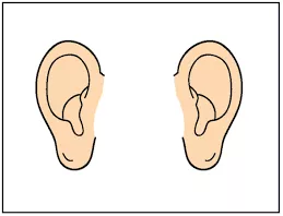 Meaning  ear