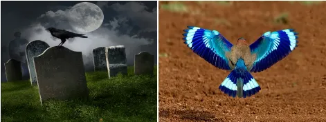 Cemetery vs symmetry