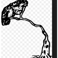 Propensity  - An inclination or natural tendency to behave in a particular way.