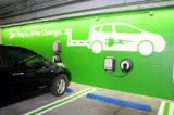 Electric horses  govt  should give tax incentives to encourage e vehicles