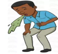 Regurgitate  - Repeat (information) without analysing or comprehending it