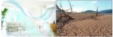 Draught vs drought