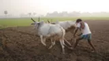 Moneylenders still rule india's rural economy
