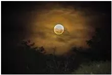 Eerie  - (Strange, weird, fear-inspiring)