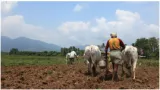 India must protect its food givers