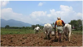 India must protect its food givers