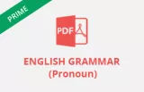 Pronoun concept pdf