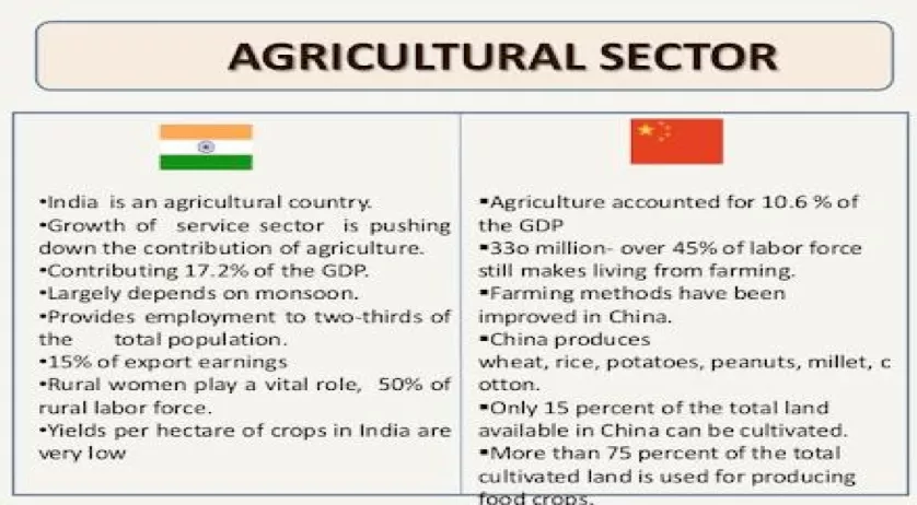 This article is about the comparison between the two asian giants in terms of agriculture   article is helpful for those who want to develop essay type answer writing skills very important for upse and psc exams 