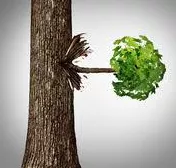 Offshoot - (A thing that develops from something else),