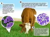 This article presents the dangers of highly evident climate change  the shifting of tropical diseases to the northern or higher latitudes is a pointer of spread of warmer areas towards poles  read the article for more information     