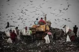 Mountains of garbage