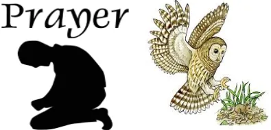 Pray vs  prey
