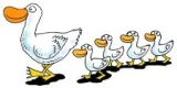 Walk on eggs 