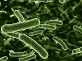 'shape shifting' bacteria spotted on international space station