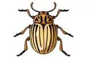 Prejudicial - (Harmful to someone or something; detrimental.)
