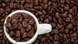 A couple of things about caffeine