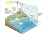 Scientific models saved lives from harvey and irma  they can from climate change too