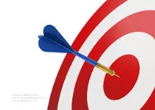 Hit the bullâ€™s eye  - (Get something exactly right) (पूरा करना (दक्षता के साथ))