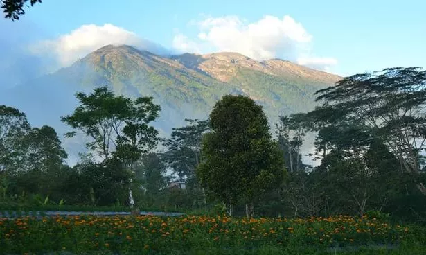 Bali on high alert after tremors around mount agung volcano