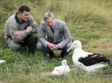 Sir david attenborough  sea plastic's impact on albatross is 'heartbreaking'