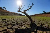 Climate change made lucifer heatwave far more likely  scientists find