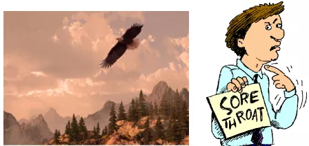 Similar word