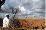 The numbers game  imd forecast for farmers 