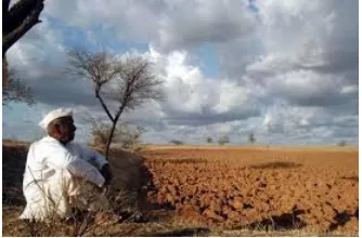 The numbers game  imd forecast for farmers 