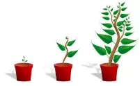 Thrive  - (Grow or develop well or vigorously.)