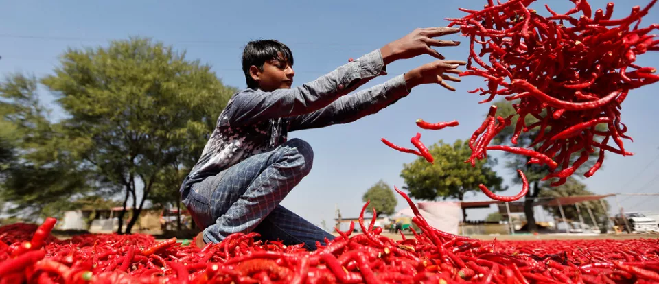 What india can teach the world about sustainability