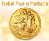 The rhythm of life  on the nobel prize in medicine