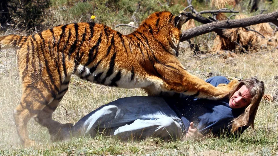 Problem animals — on wildlife protection strategies