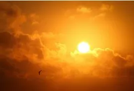 Meaning  sun     