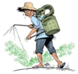 Toxic farming  on insecticide regulation