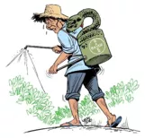 Toxic farming  on insecticide regulation