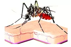Of faith and fever  on tamil naidu dengue epidemic
