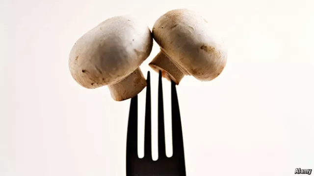 Why eating more vegetables is good for the environment  