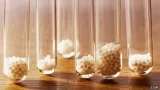 Why homeopathy is nonsense   