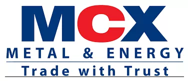 A first step  on multi commodity exchange