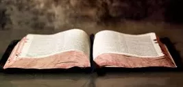Doctrines - (A stated principle of government policy, mainly in foreign or military affairs)