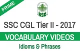 Ssc cgl tier 2016   idioms & phrases  english 