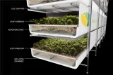 <b>meet the farm that grows plants with zero sunlight  soil  pesticides  or water< b>