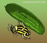 Cumbersome - (Difficult to handle or use especially because of size or weight; Not elegant or graceful in expression)